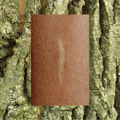 Barrier Repair Moisturizer